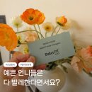 더발레핏 스튜디오 | 서울 강남구 발레학원 청담 발레핏 1회 체험 후기