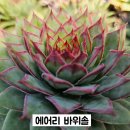 G0152 이미지