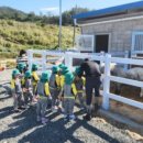 악양 승마장 이미지