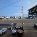 애견동반 제주여행 | 제주도 태교여행 3박4일 코스 | 제주 동쪽 애견동반 맛집,카페 공유 (고사리해장국...