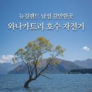 제2주차장(자전거) | 와나카호수 와나카트리 카약 추천 수영 자전거투어 주차장 정보
