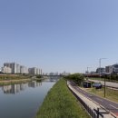 베스트삭스 | 260515 러닝 일지 | 다이소 러닝 조끼 베스트 여자 입고 뛴 후기