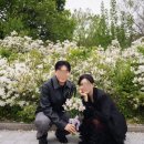 BB(비비) | 서울 야외 웨딩 스냅, 스튜디오 비비(Studio BB), 내돈내산 후기
