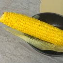데미안골프