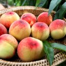 햇살찬농장 이미지