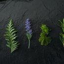 함께하는의원 이미지