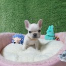 화순 토이샵 이미지