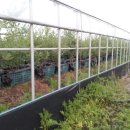 벧엘농장2 이미지