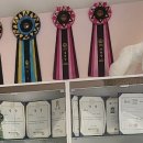 가장 아름답개 이미지