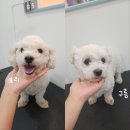 보리미용실 이미지