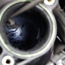 바이오크리닝 이미지