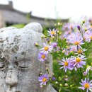 문경 오미자테마터널,고모산성,봉천사 이미지