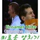 The Lonely Shepherd (외로운 양치기) / Gheorghe Zamfir 이미지