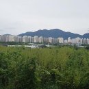 스테이 안 이미지