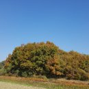 새누리농장 이미지