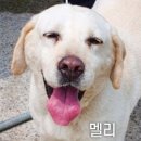 웅천제림의원 이미지