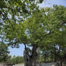 #카라반여행D25-5(T272)#거창 이미지