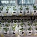 황연동행정복지센터 이미지