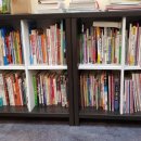 스위밍고 이미지