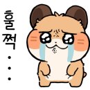 진댄스아카데미 이미지