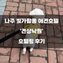 나주 빛가람동 &#39;견상낙원&#39; 애견호텔 추천! 내돈내산 후기 🐶