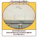 바디스케치