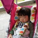 세교세차장 이미지