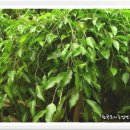 하나인테리어 이미지