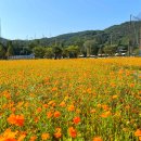 신소양체육공원 이미지