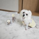 동구네집 이미지