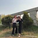 구웅1호 네이버블로그