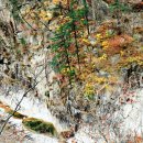 설악산 공룡능선 아름다운 가을색 風景 (3) 이미지
