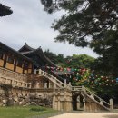 경주코튼빌리지 이미지