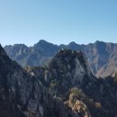 섭(홍합)죽 마을 이미지