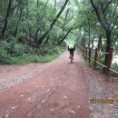 웃파장천 이미지