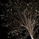 목련쉼터 이미지