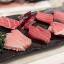 종로참치 | 종각역 회식장소 추천 참치공방 종각본점, 종로 참치 무한리필 후기