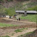 금봉산 농장 이미지