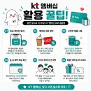 베스킨라빈스광주양산 | 📱KT멤버십, 아직도 통신비 할인만 쓰세요?!