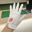 나이스골프 | 버디베어 나이스샷 올양피 골프장갑 후기 필드용 왼손