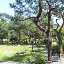 소나무정원 이미지