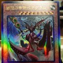 네오캐논·네오스파이더 | 2025-03-14 카드냥 주문후기