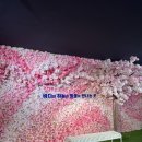 중원동로-2 이미지