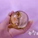 삼남의원 이미지