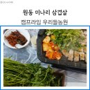 캠프라임 | 원동 미나리 삼겹살 캠프라임 우리들농원 내돈내산 솔직후기