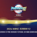 프리미어 이미지