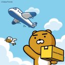 글로벌배송