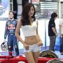 송채은 카카오 검색결과
