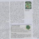 싱싱바다나라 이미지
