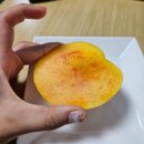 예진농원 | 3번째 내돈내산 재구매중인 예진농원 황도 복숭아 후기